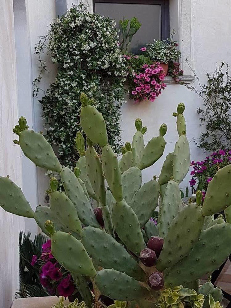 Palazzo Volta Boutique Luxury B&B Nardò Eksteriør bilde